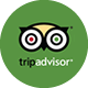 Icon Logo TripAdvisor